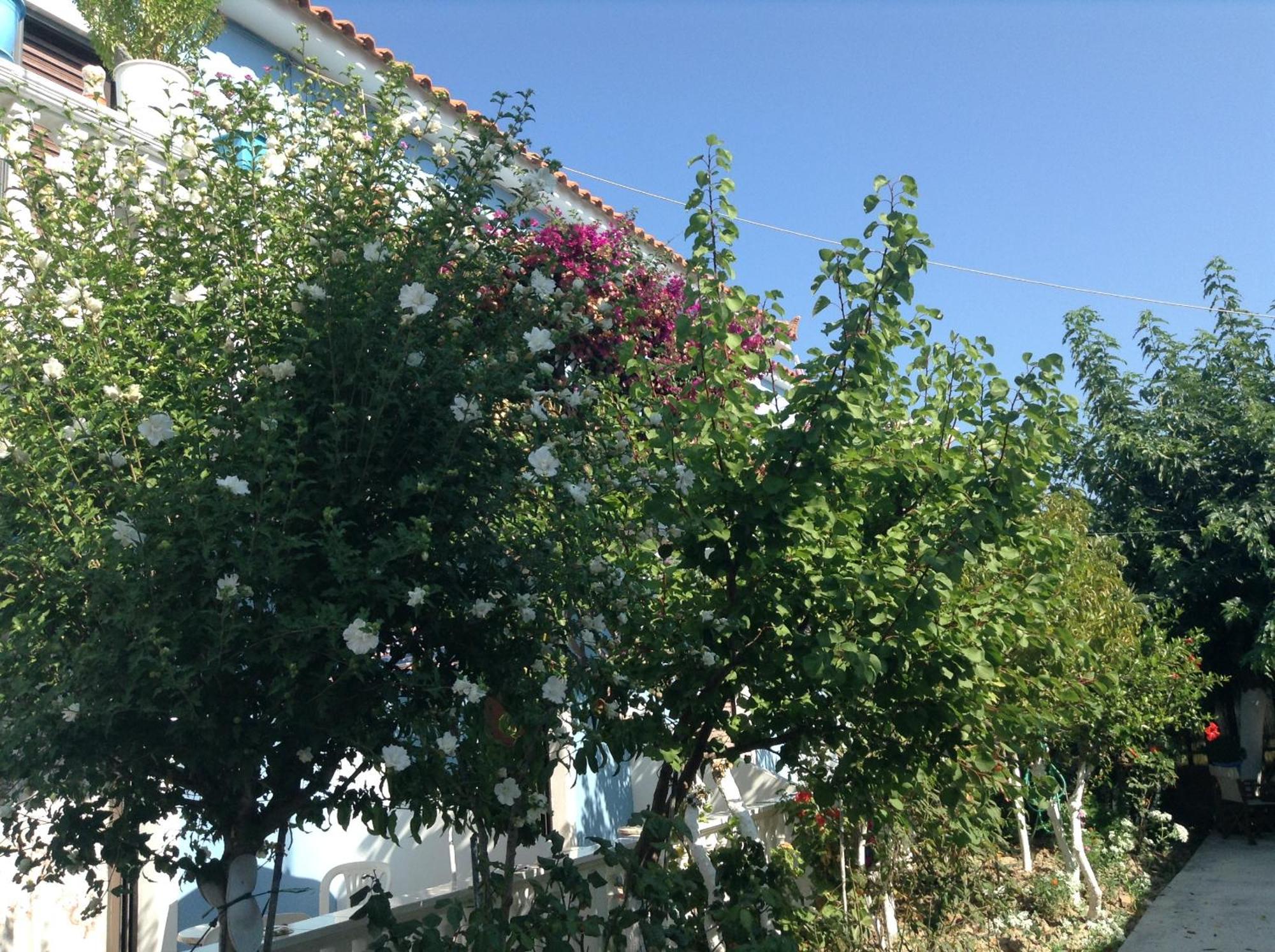 Dina Studios Kalamákion المظهر الخارجي الصورة